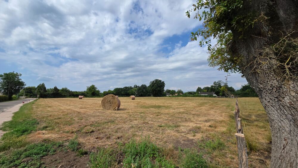 Vente Terrain vente terrain - (s) Simandre