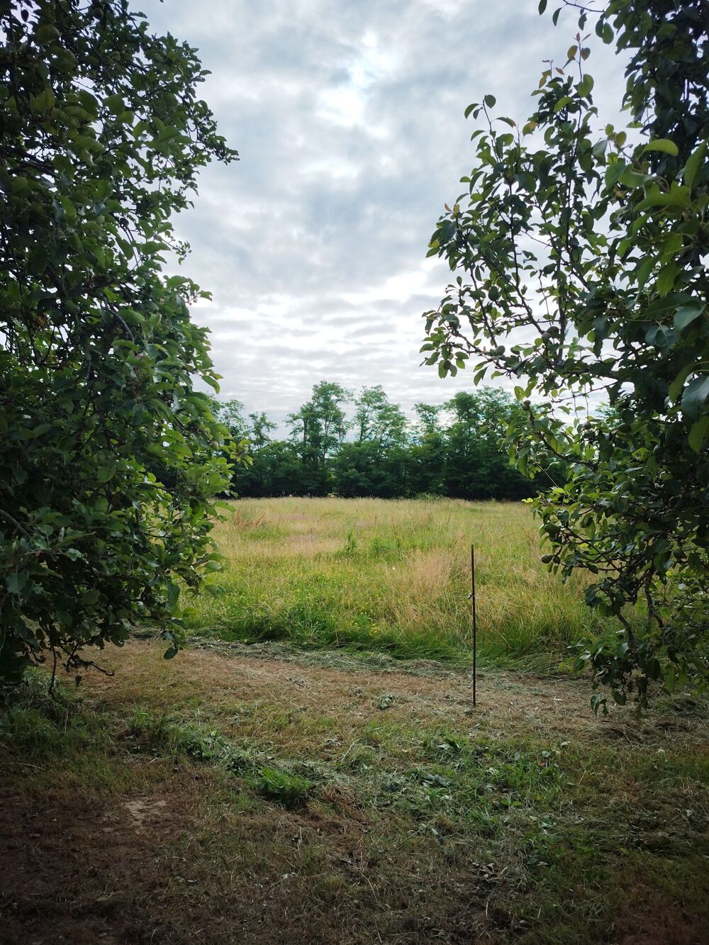 propriété à la campagne sur 2 hectares
