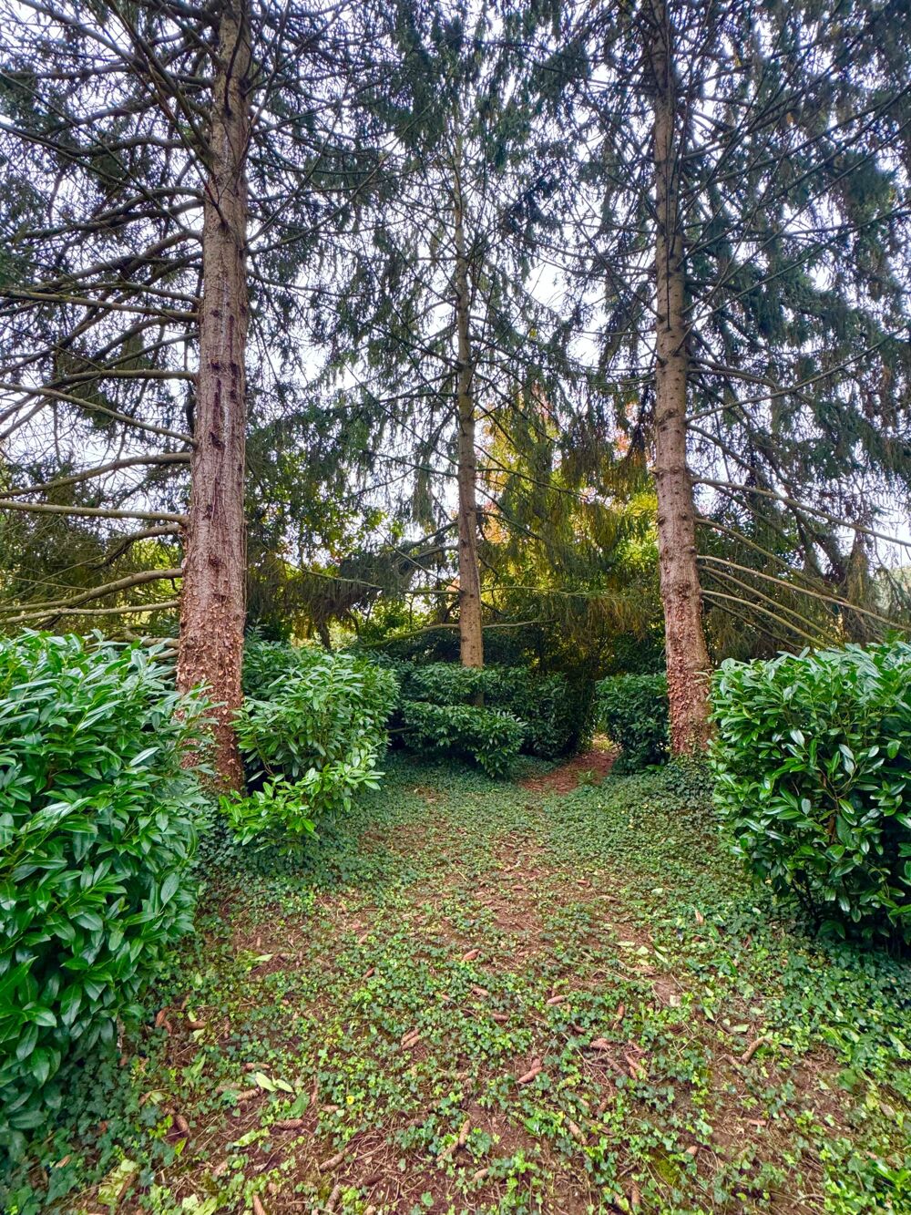 à vendre  Maison Bourg-en-Bresse (01000)