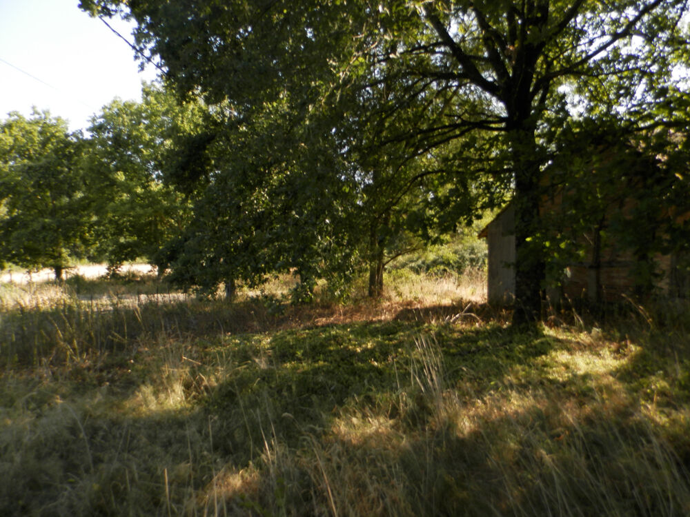 Vente Terrain vente terrain - (s) St germain du bois