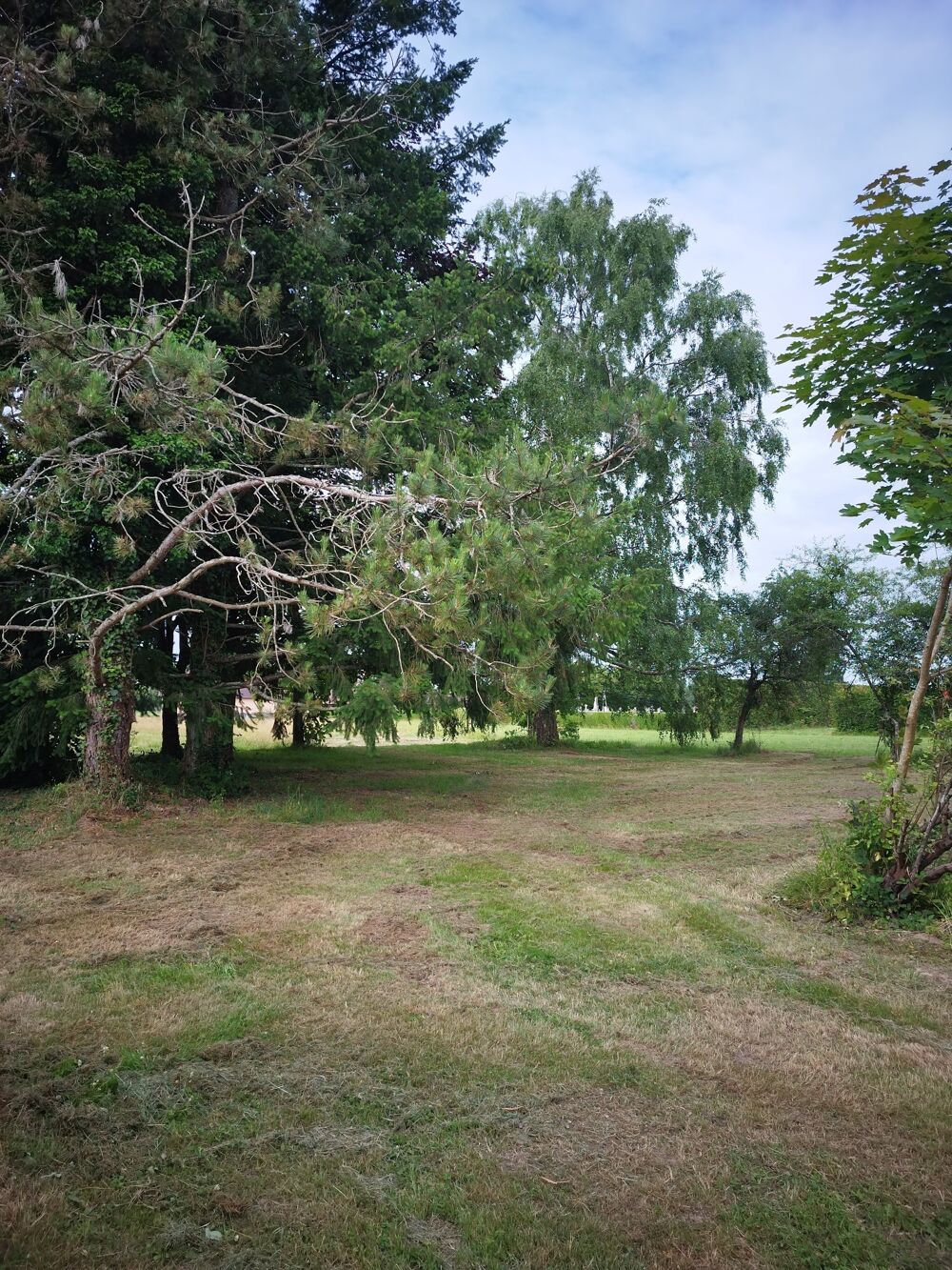 Vente Maison propriété à la campagne sur 2 hectares Montjay