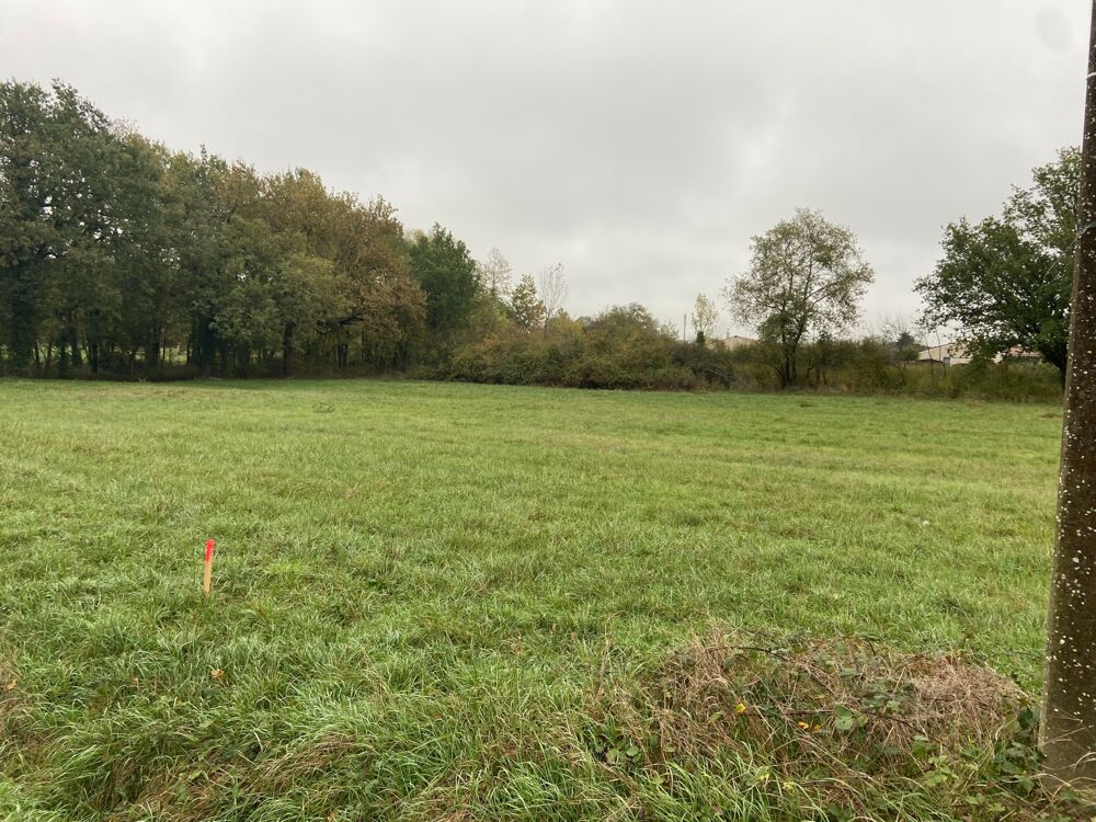 Vente Terrain TERRAIN VIABILISE DE 2390 M2 St etienne de tulmont