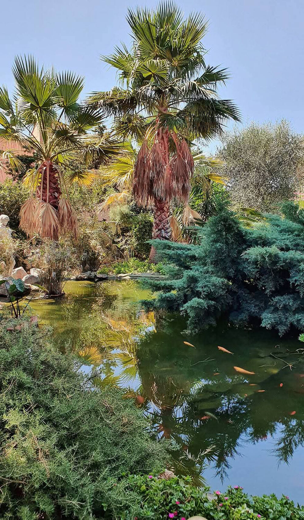 � vendre  Maison Agde (34300)