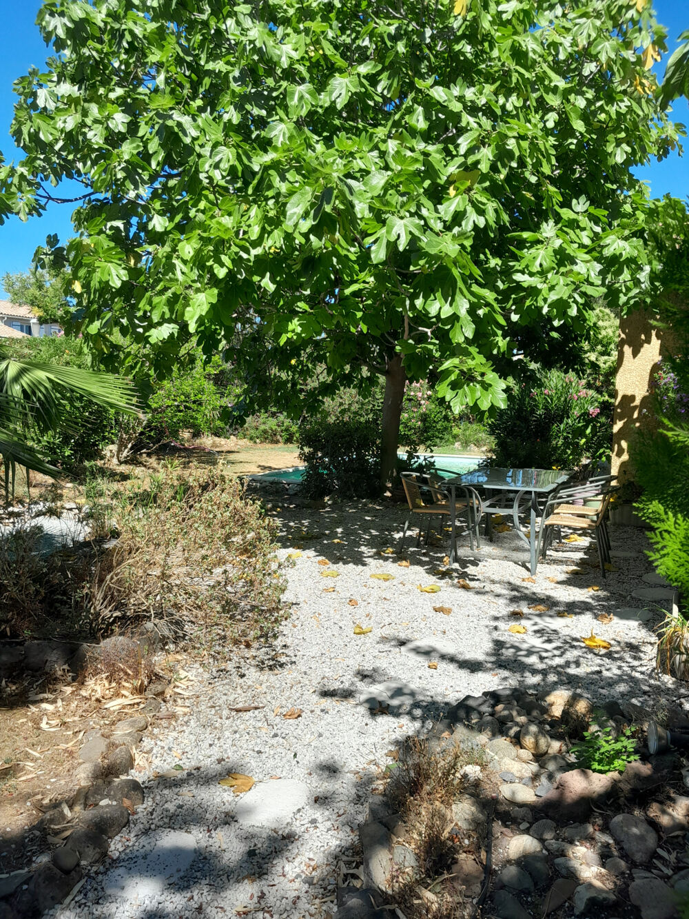 VILLA T6 AVEC PISCINE ET JARDIN