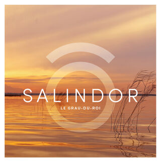  Appartement � vendre 2 pi�ces 47 m�