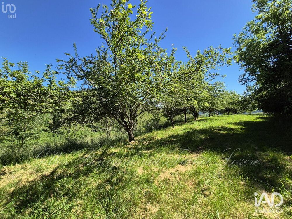  vendre  Maison Bdous (48400)