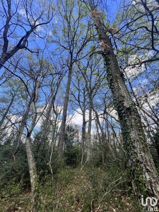  Terrain  vendre 4200 m