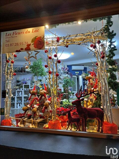 Vente Boutique/Local commercial 95 m&sup2; 35000 57510 Puttelange-aux-lacs