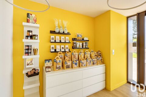 Vente Surface diverse 87 m&sup2; 93000 44115 Haute-goulaine