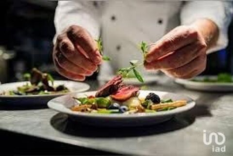 Vente Restaurant 290 m&sup2; 95000 33330 Saint-milion