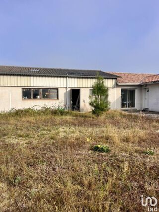  Loft � vendre 263 m�