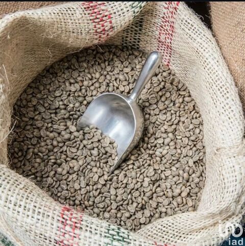 Vente Salon de th&eacute; 60 m&sup2; 297000 17940 Rivedoux-plage