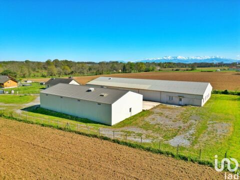 Vente Hangar 1 234 m&sup2; 327000 65320 Luquet