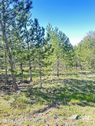  Terrain � vendre 501 m�