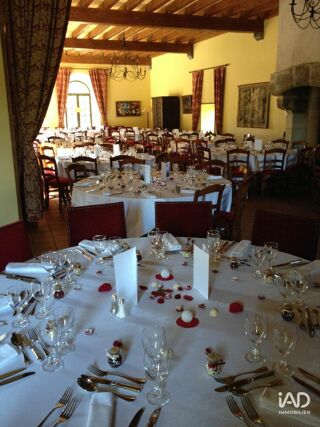  Propri�t�/ch�teau � vendre 15 + pi�ces 700 m�