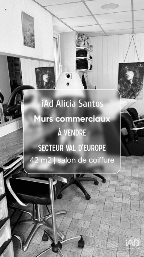 Vente Murs commerciaux 42 m&sup2; 160000 77600 Bussy-saint-georges