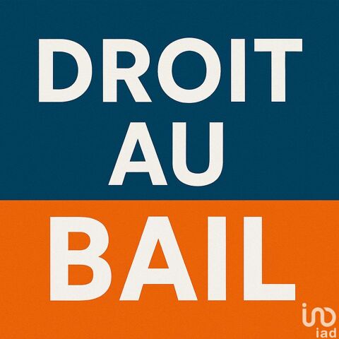 Vente Droit au bail 34 m&sup2; 63800 97434 Saint-gilles-les-bains