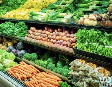 Vente Surface diverse 100 m&sup2; 225000 07150 Salavas