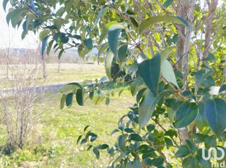  Terrain � vendre 505 m�