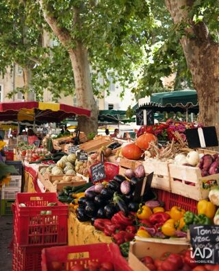  Appartement � vendre 3 pi�ces 61 m�