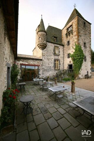  Propri�t�/ch�teau � vendre 15 + pi�ces 700 m�