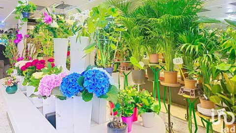 Vente Boutique/Local commercial 100 m&sup2; 198000 75019 Paris