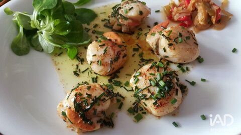 Vente Restaurant 164 m&sup2; 357000 14400 Bayeux