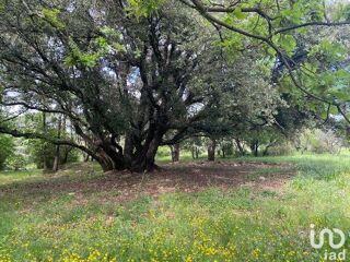  Maison � vendre 7 pi�ces 220 m�