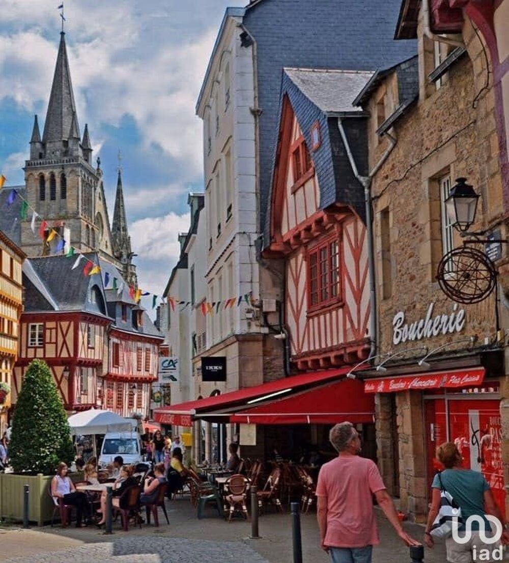   Vannes (56000)