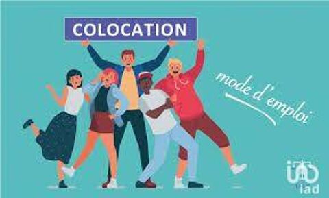  Appartement � louer 1 pi�ce 11 m�