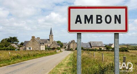 Vente Murs commerciaux 449 m&sup2; 430000 56190 Ambon