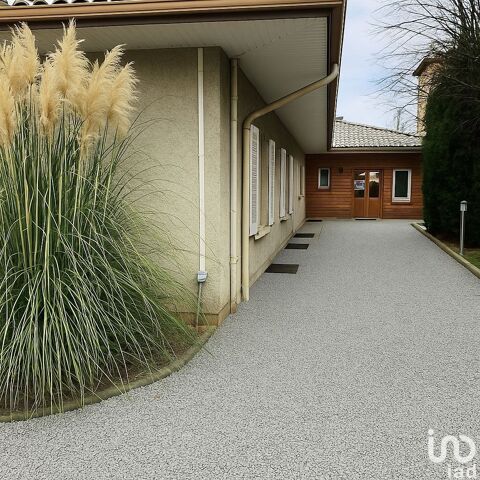 Vente Murs commerciaux 330 m&sup2; 550000 43120 Monistrol-sur-loire