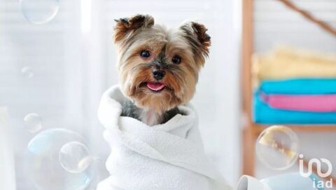 Vente Local d'activit&eacute;s 65 m&sup2; 44500 95310 Saint-ouen-l'aum�ne