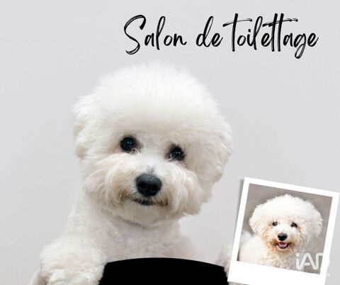 Vente Boutique/Local commercial 29 m&sup2; 29500 06300 Nice