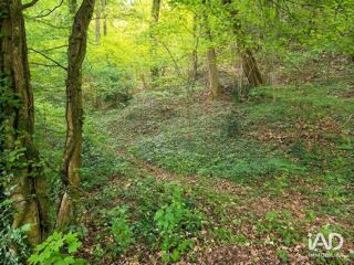  Appartement � vendre 4 pi�ces 81 m�