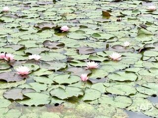  Terrain � vendre 10501 m�