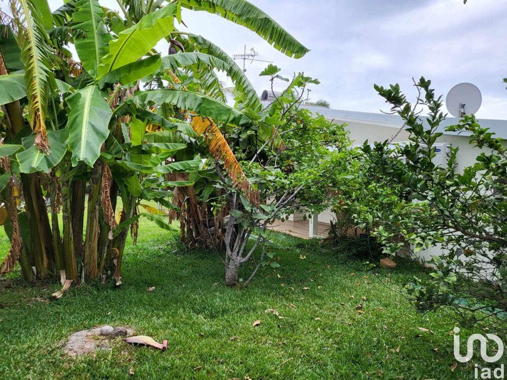 � vendre  Maison Saint-Gilles Les Bains (97434)