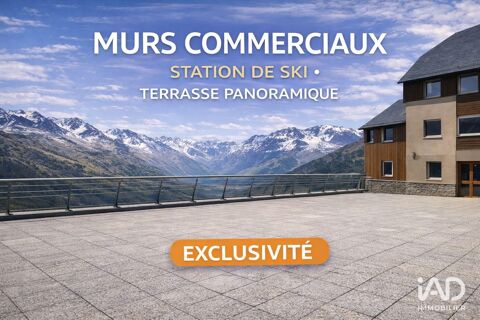 Vente Murs commerciaux 220 m&sup2; 315000 65240 Germ