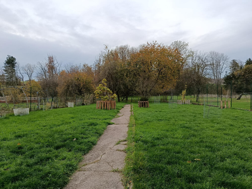 Vente Maison Maison 140m2 avec terrain et dépendances Xousse