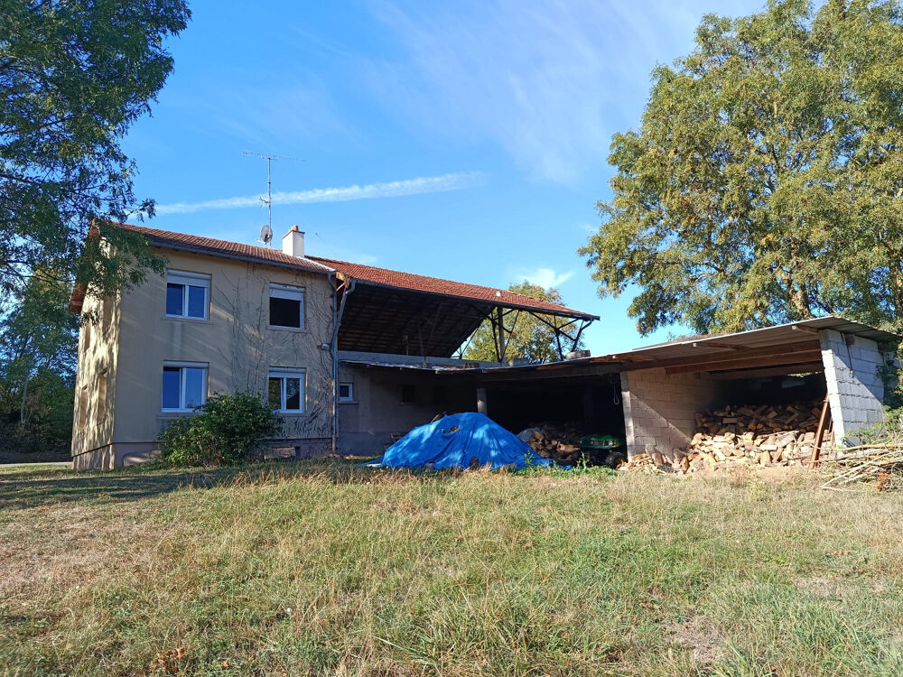Maison individuelle avec terrain et dépendances