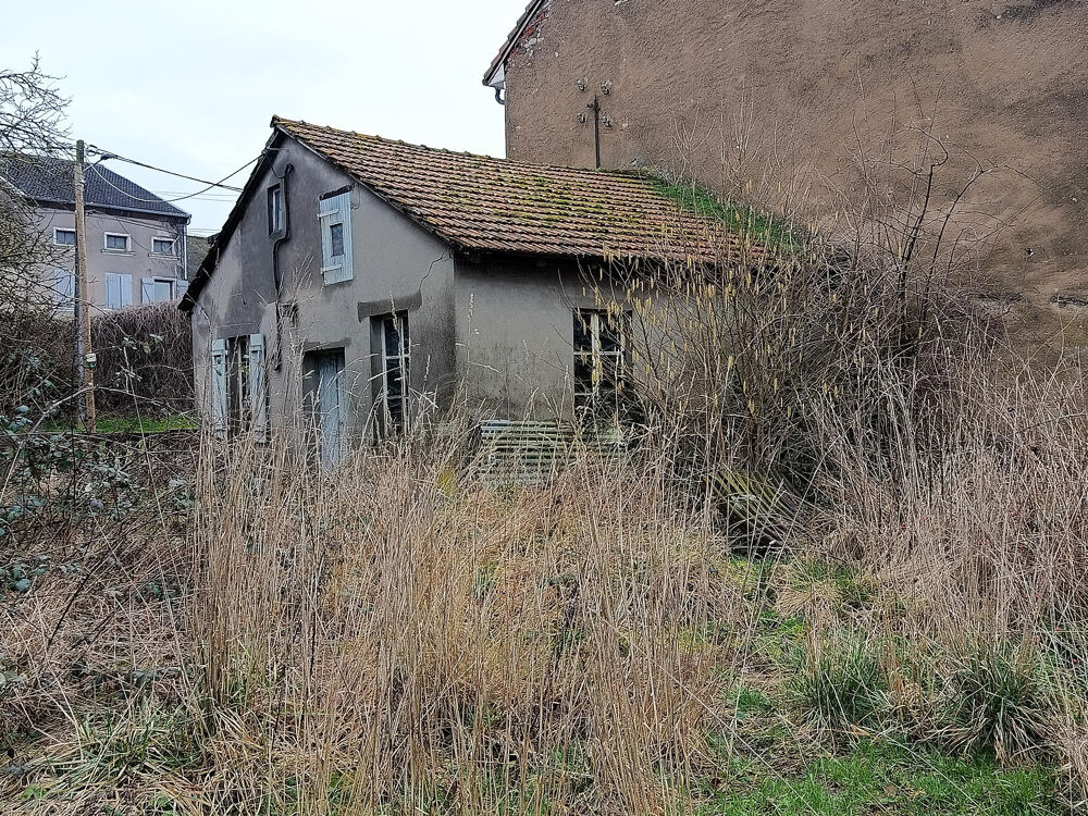 Vente Maison Deux maisons avec terrain Nebing