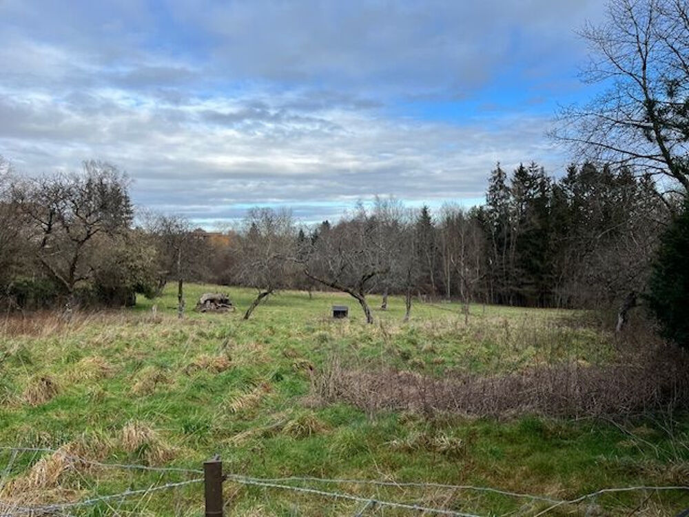 vente Terrain - 1050 m² Petitmont (54480)