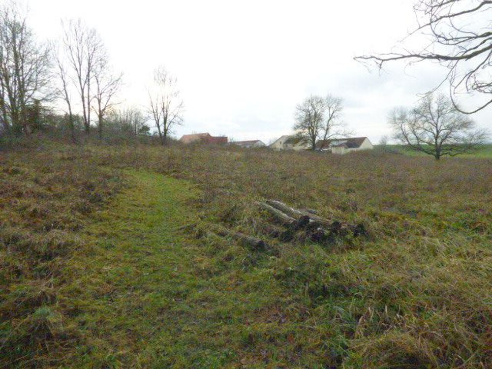 vente Terrain - 1500 m² Blâmont (54450)