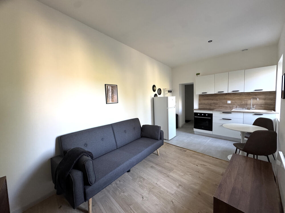 Location Appartement RÉSIDENCE SÉCURISÉE, T2 MEUBLÉ RÉNOVÉ, DANS RÉSIDENCE SÉCURISÉE LOYER : 520 € HC Castres