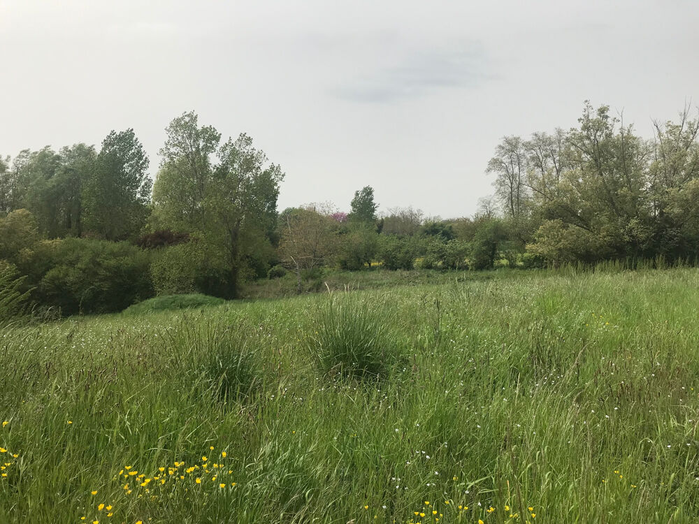 Vente Terrain TERRAIN A BATIR - PUYLAURENS Puylaurens