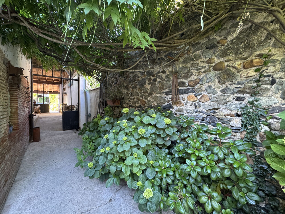 BELLE MAISON DE VILLAGE AVEC PISCINE