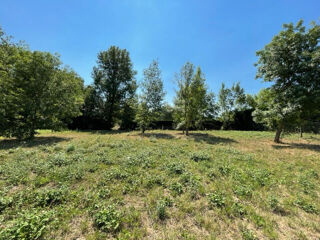  Terrain à vendre 1633 m²