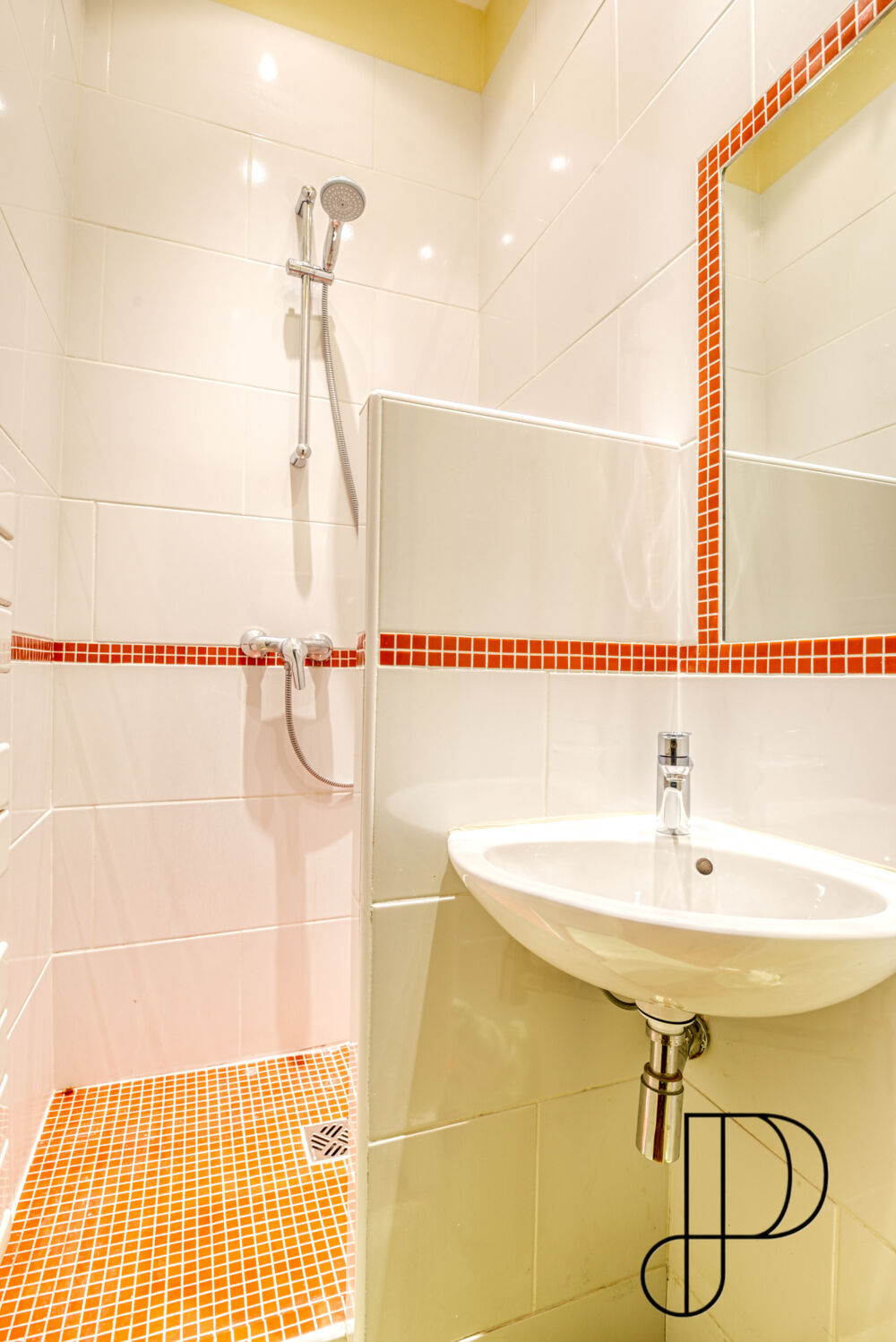  vendre  Duplex/triplex Lyon 6