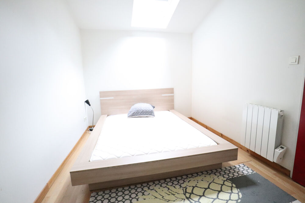 Location Appartement MAGNIFIQUE T3 BIS MEUBLE A LYON 05   RUE DE TRION Lyon 5