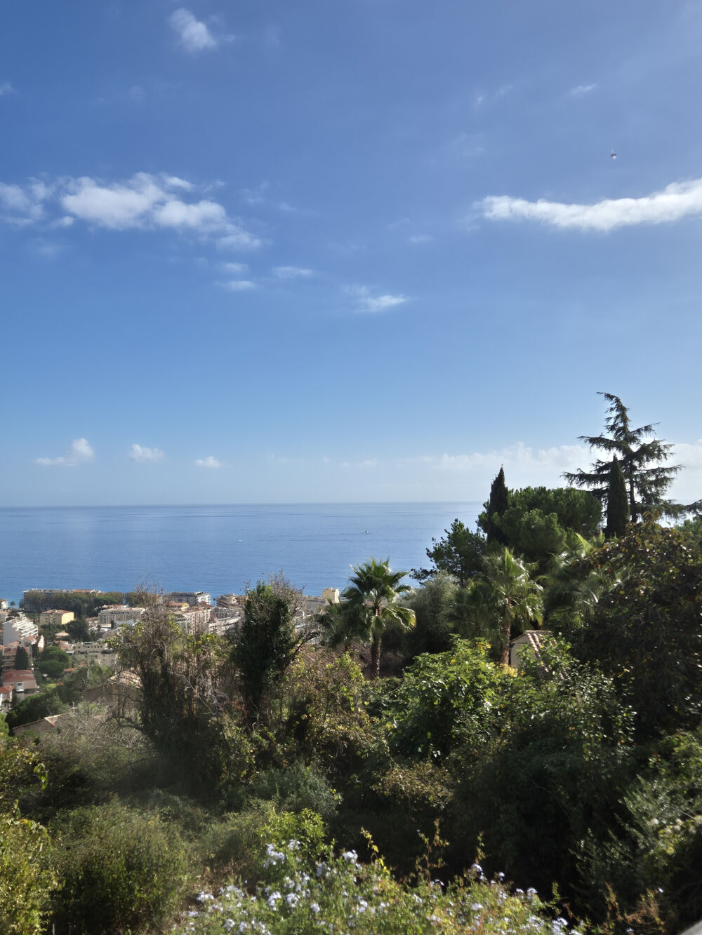 roquebrune cap martin , quartier hameau , maison de 140 m2 sur terrain de 1500 m2 en pleine vue mer panorami